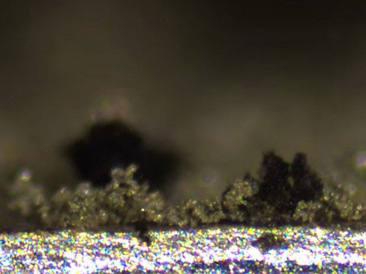 Dendrites growing in a lithium-metal battery
