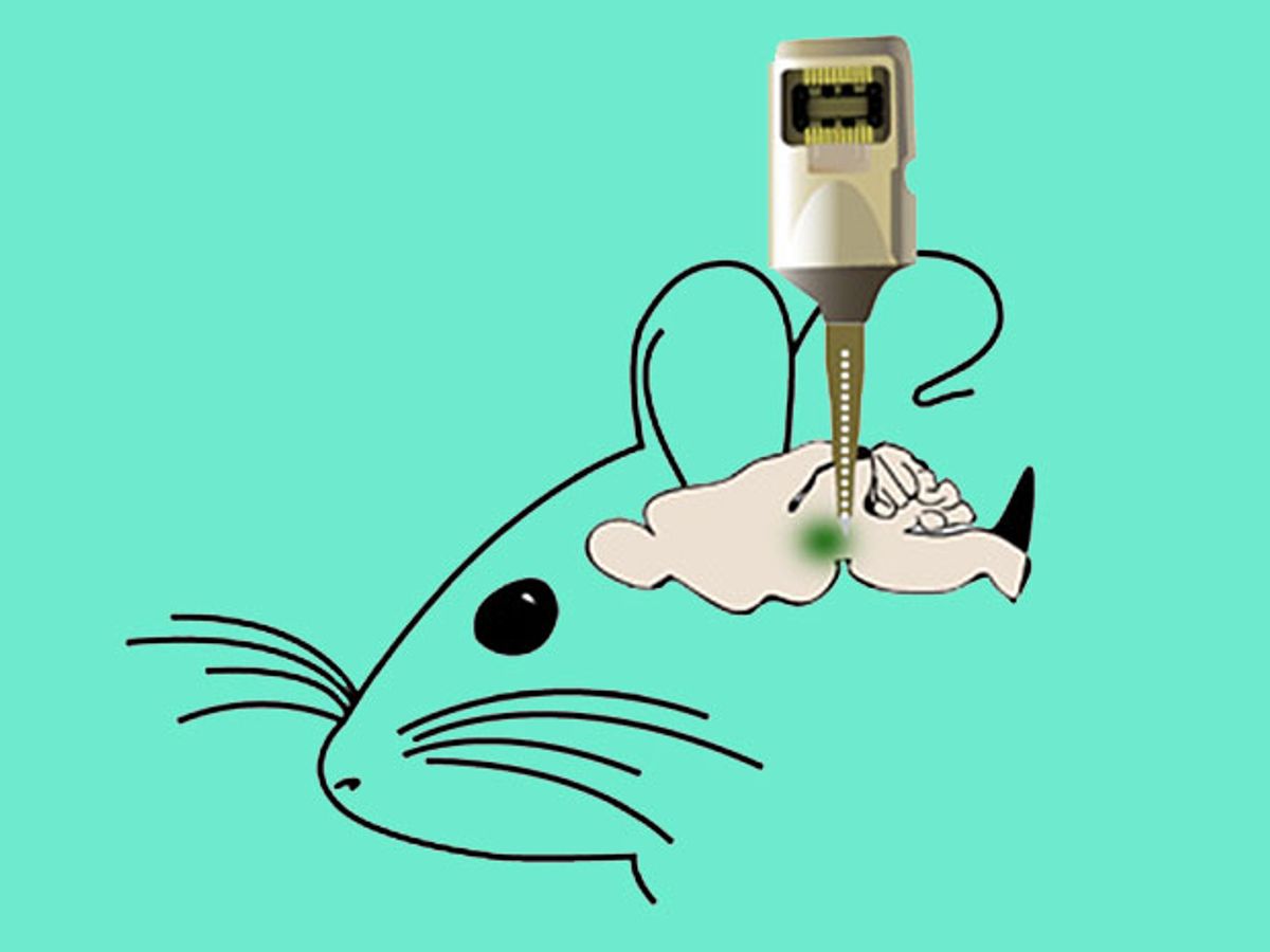 drawing of mouse with optogentics probe