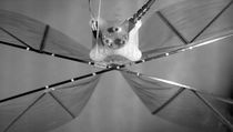 High Performance Ornithopter Drone Is Quiet, Efficient, and Safe