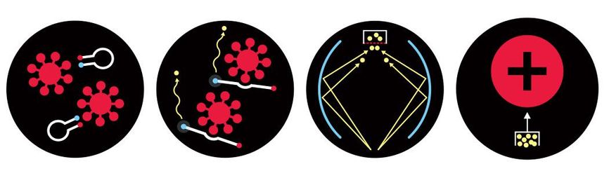 Icons showing the process of a photonics biosensor.