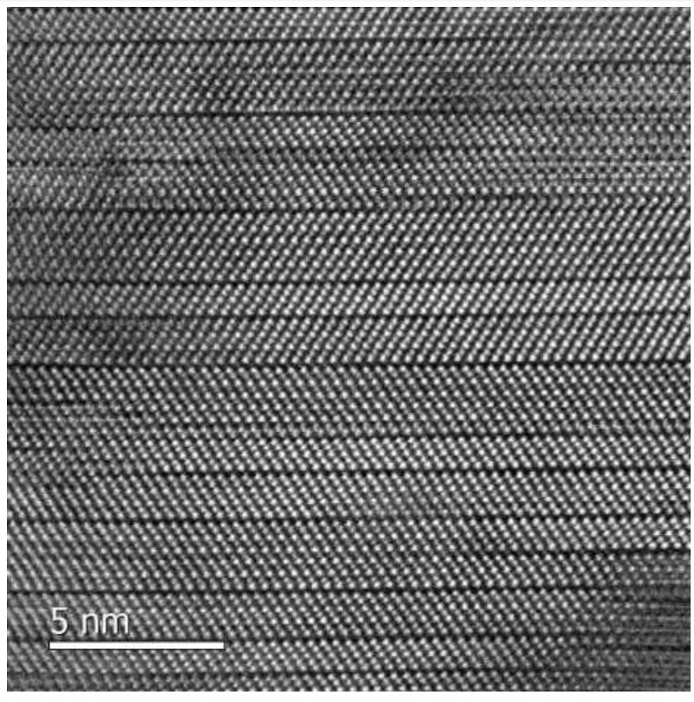 A black and white micrograph image, labelled 5nm