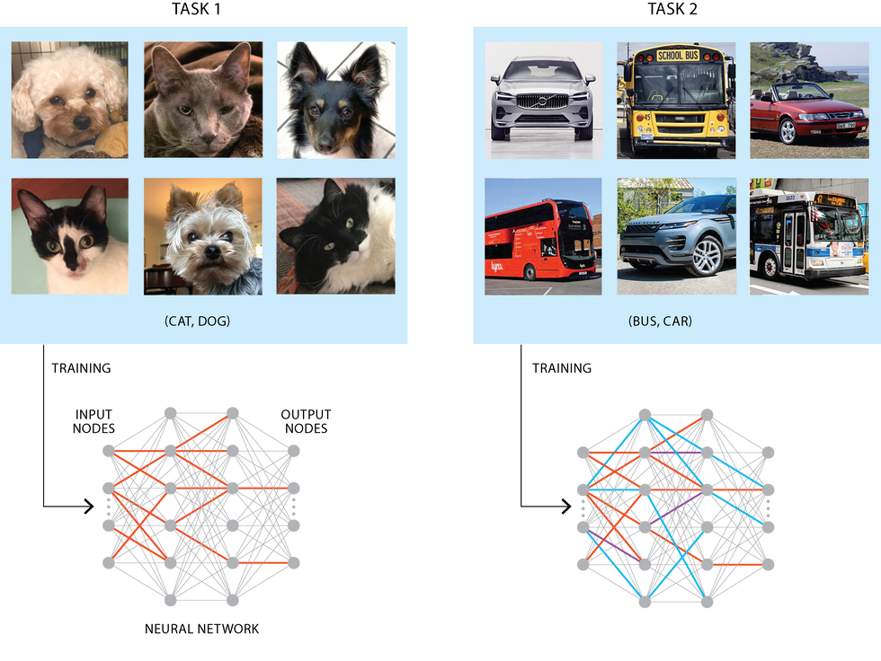 Infographic of a neural network working to determine if the image is a cat or dog.