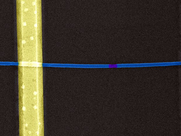False color microscope image of a nanowire looks like a thick gold vertical band