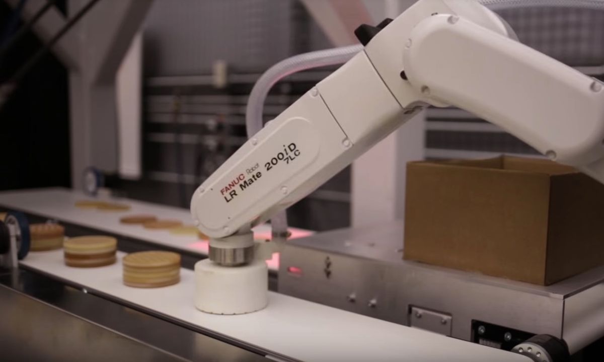 Fanuc robots pick and pack waffles.