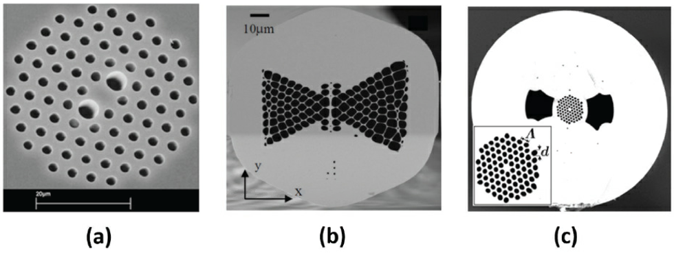 Figure 1. Microstructured optical fibers used in pressure sensing measurements. (a) Photonic-crystal fiber1; (b) microstructured fiber with a