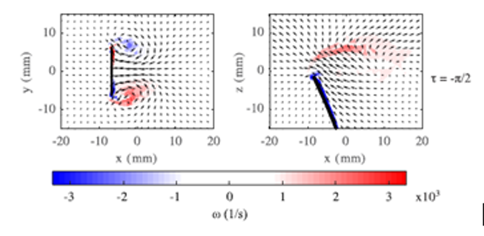 Figure 3: The COMSOL simulation shows the vorticity and the velocity field at two positions during oscillation.