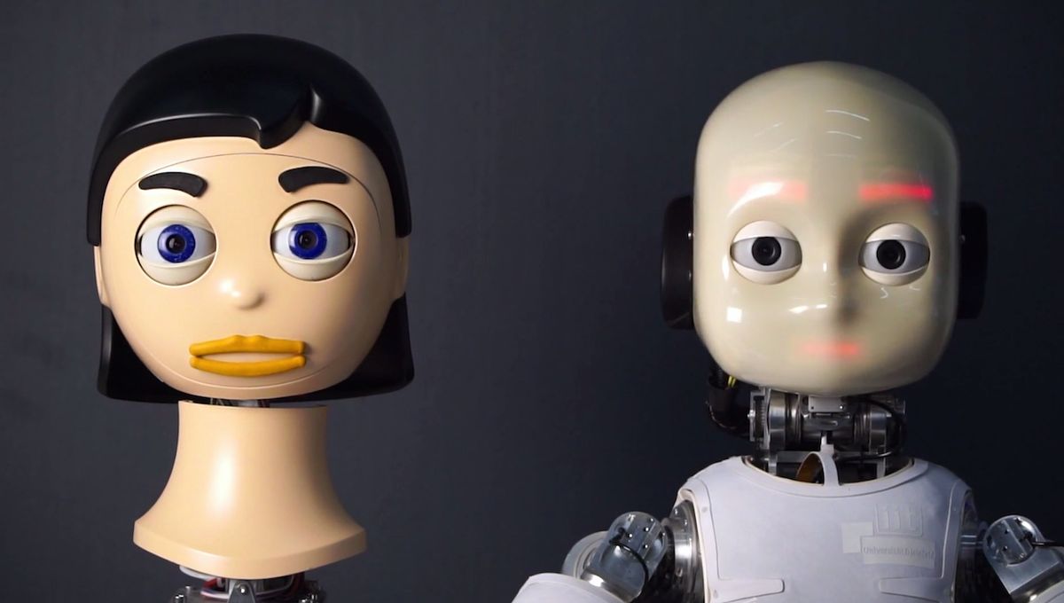 FLOBI and iCub robot heads