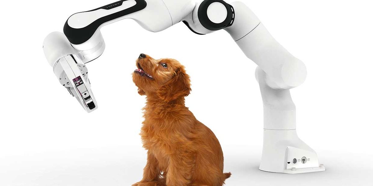 Cobots Act Like Puppies to Better Communicate with Humans