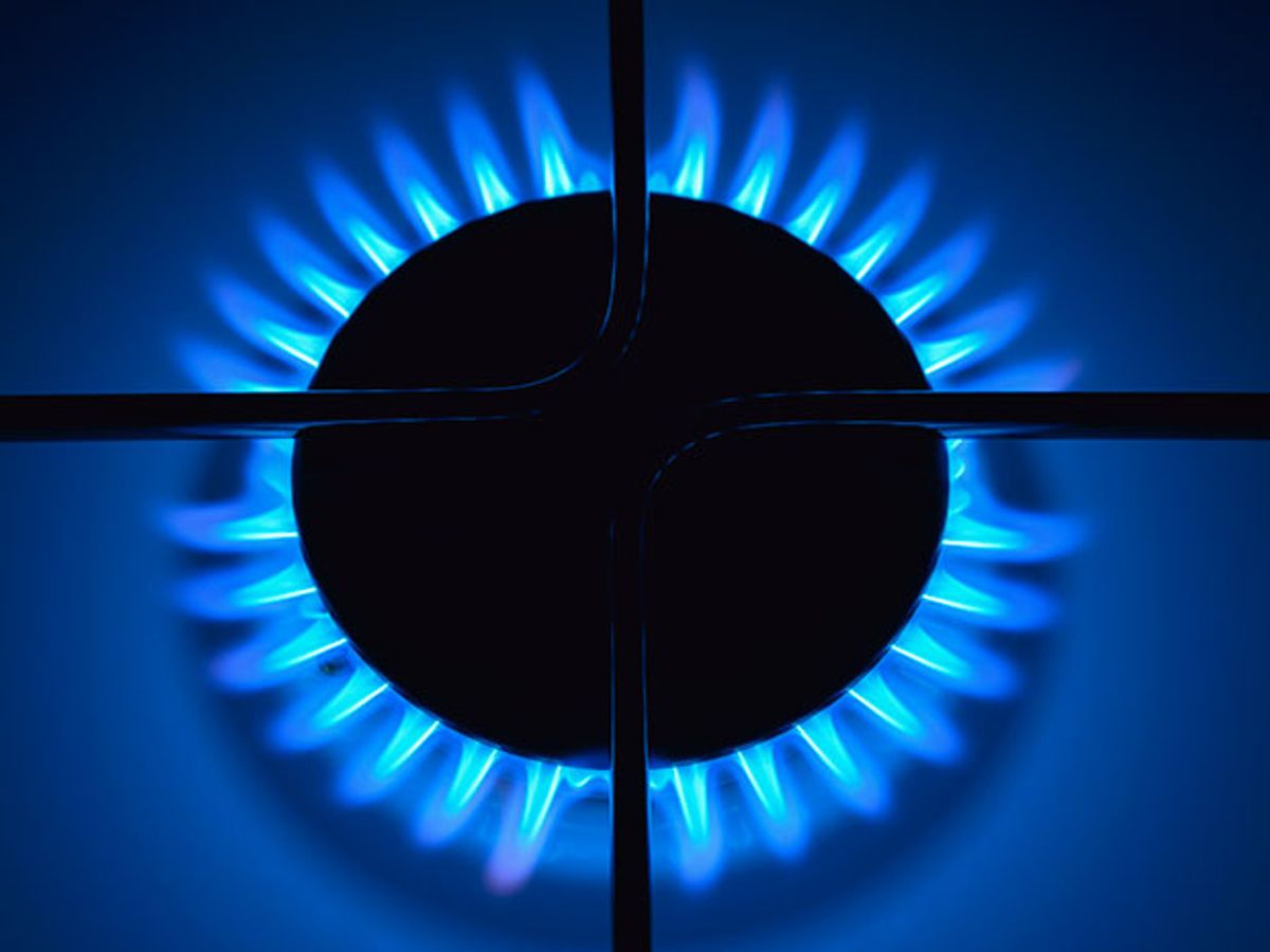Gas stove ring alight with blue natural gas flame