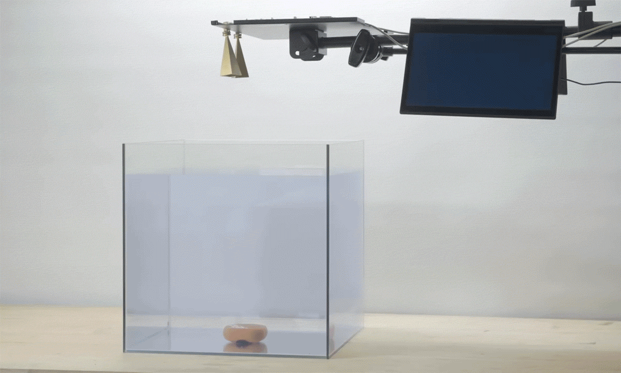 Gif animation from video showing the researchers technology to communicate from underwater to air.