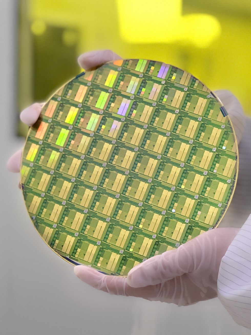 Gloved hand holding circular wafer with chip array