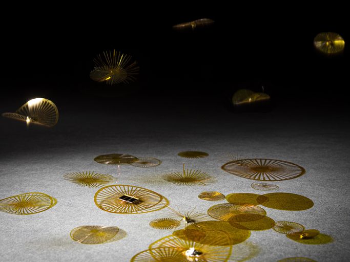 Golden disks float down to where more lie on the surface