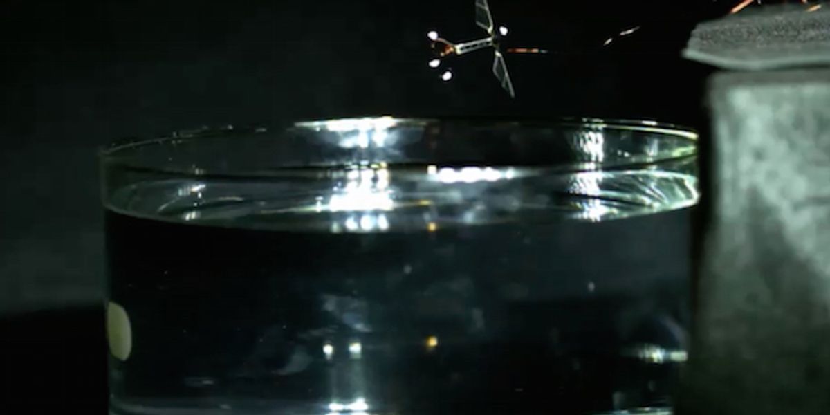 Harvard's Robot Bee Is Now Also a Submarine