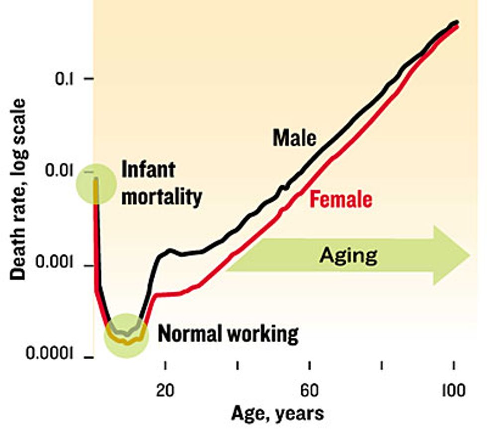 graph, Stages of Life