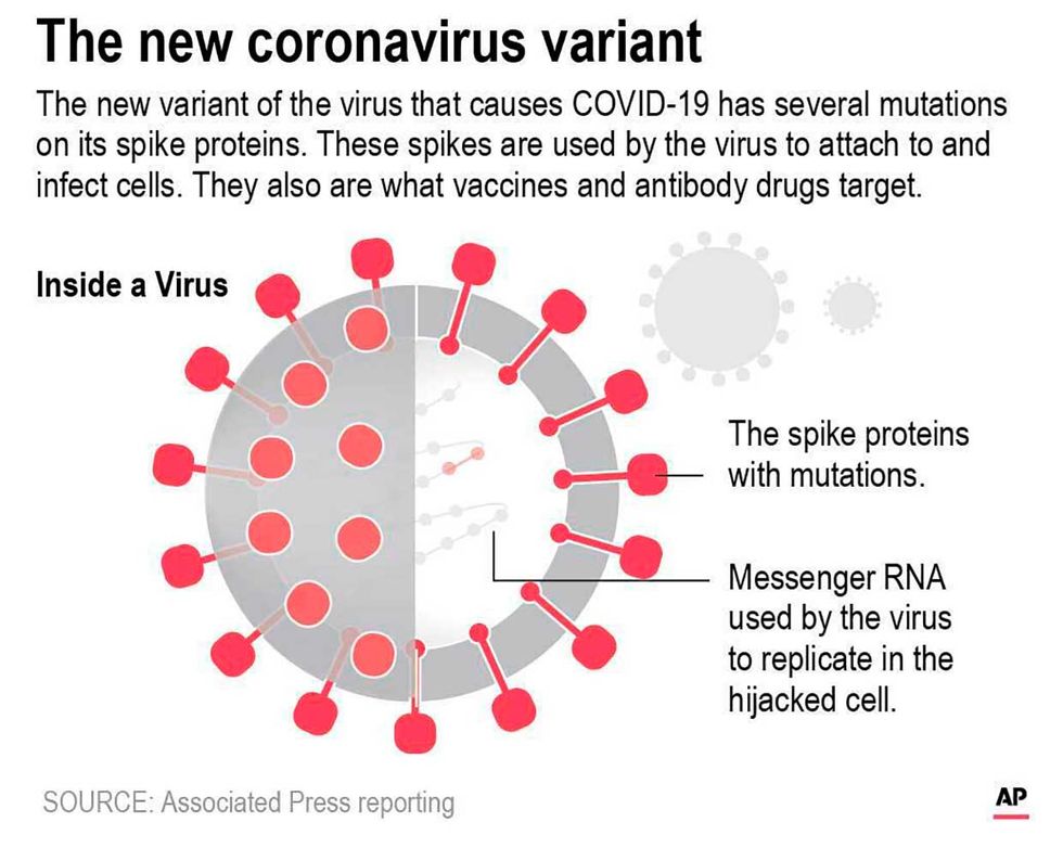 Graphic shows a diagram of the COVID-19 virus with variant