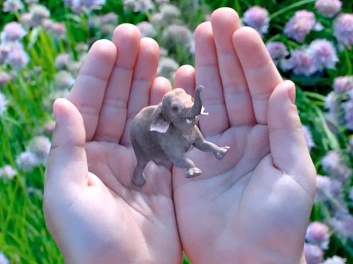 Hands holding tiny elephant.