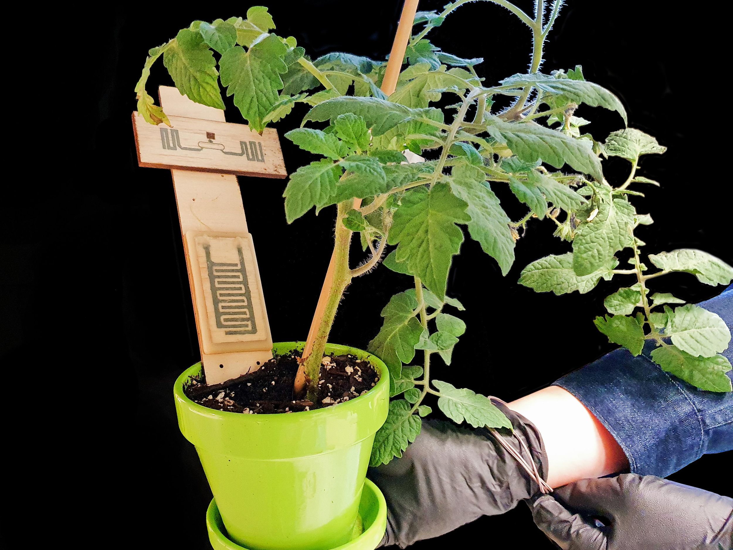 Hands wearing a blue shirt and black gloves hold a green planter filled with soil. A green leafy plant grows from the soil. A wood object in the shape of a cross, with grey circuitry on it, protrudes from the soil.