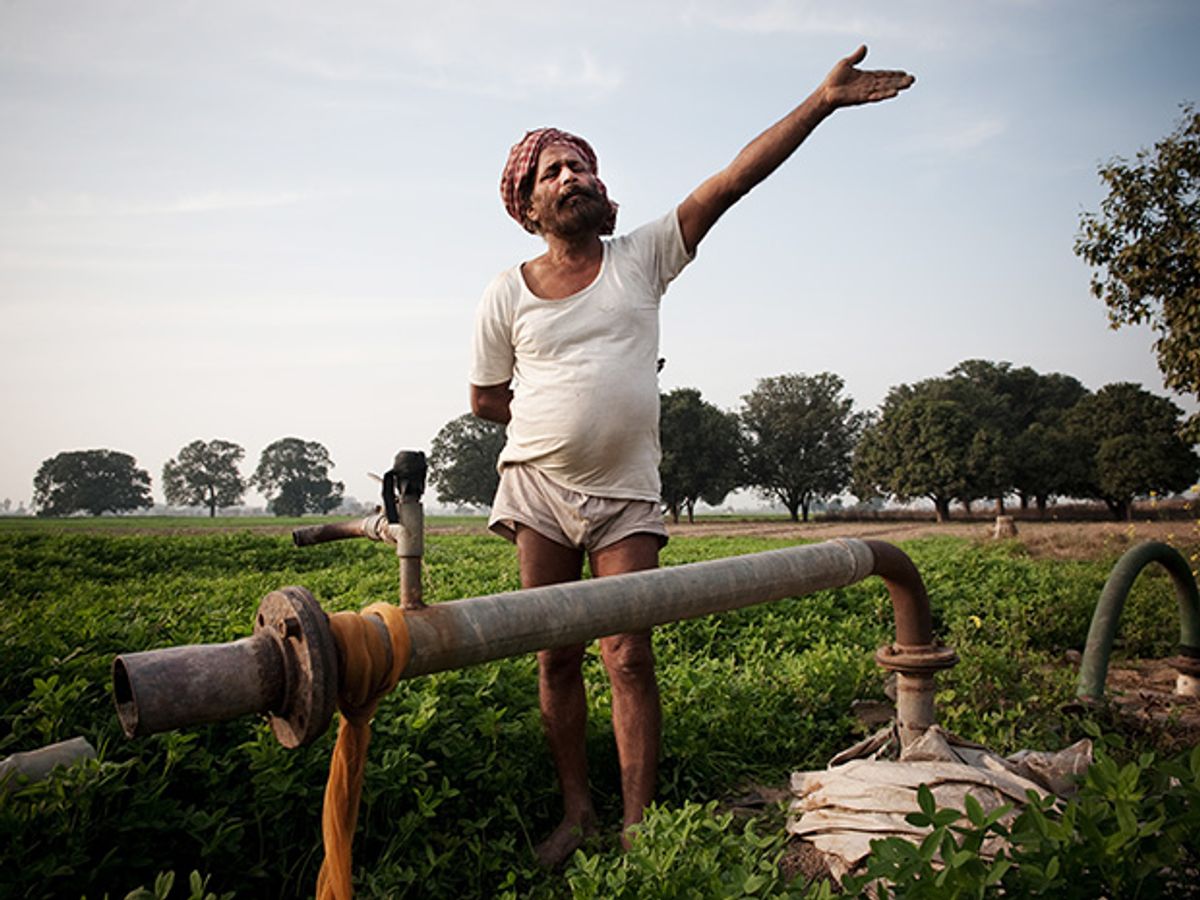 Harnek Singh on his farm in Punjab, India.