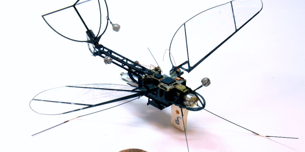 Harvard Launches Robot Moth
