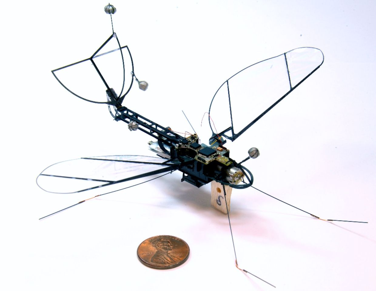 Harvard robot moth