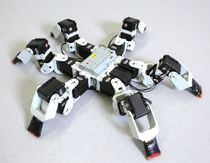 Six-Legged Robot One-Ups Nature With Faster Gait