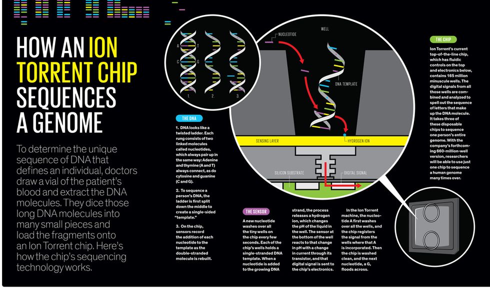 illustration how an ion torrent chip squences a genome