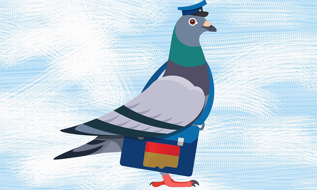 Illustration of a carrier pigeon with a bag that has an SD card shape on it.