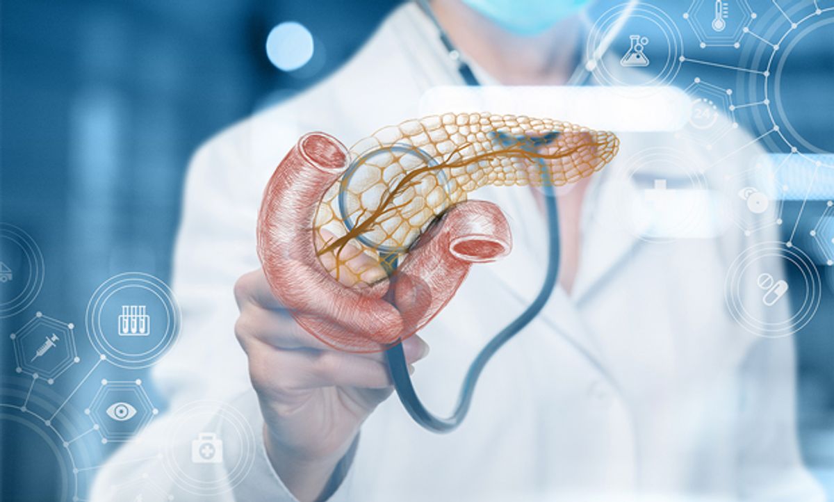 Illustration of a doctor diagnosing a digital rendering of a pancreas.