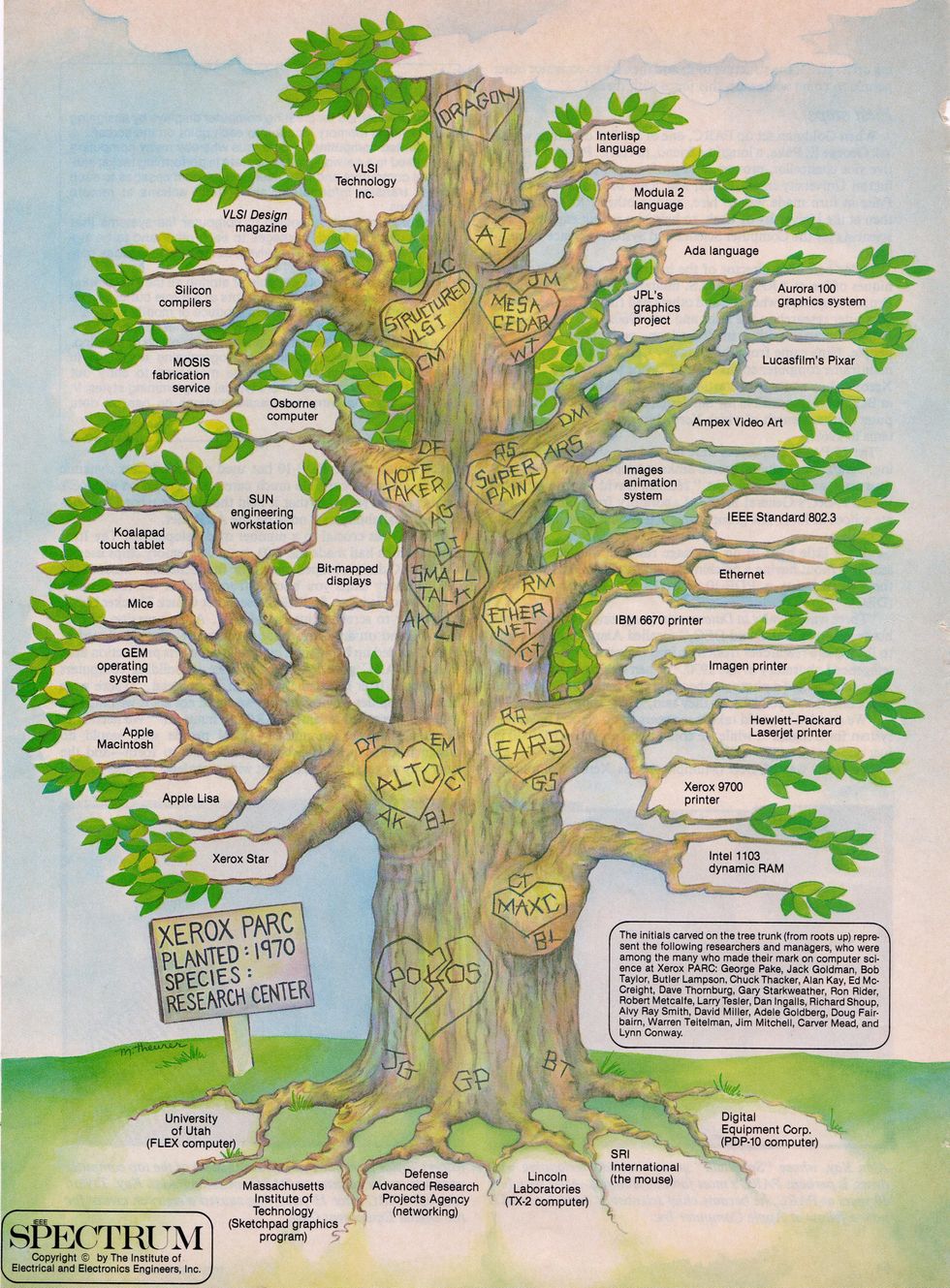 Illustration of a tree with trunk and branches representing the companies and technologies originated at PARC