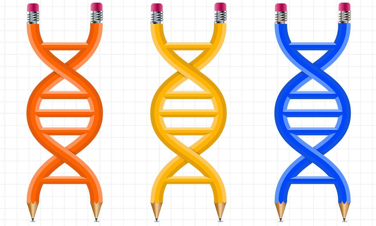 Illustration of DNA as pencils, on graph paper