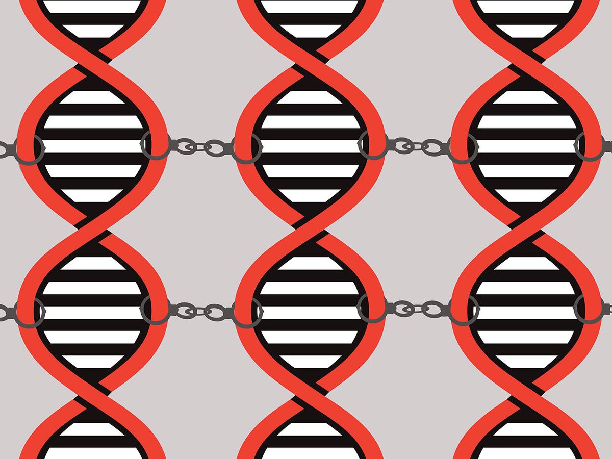 Illustration of DNA double helixes with handcuffs attaching them.