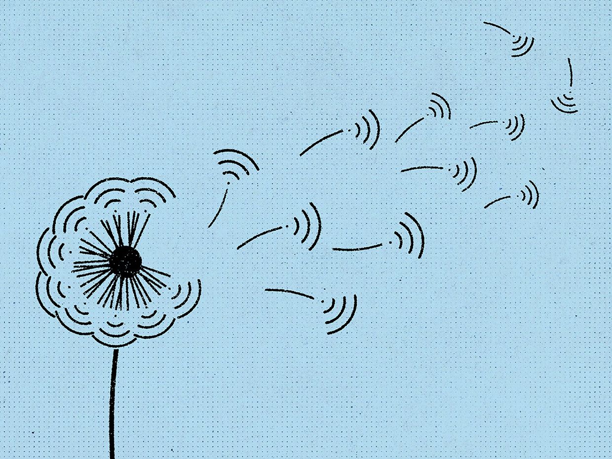 Illustration of wifi bars depicted as petals falling off a flower.