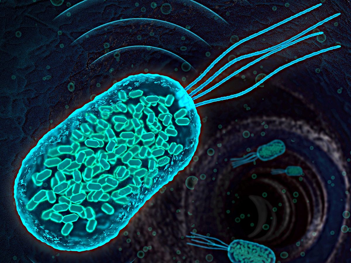 Illustration showing bacteria containing gas-filled protein nanostructures known as gas vesicles.