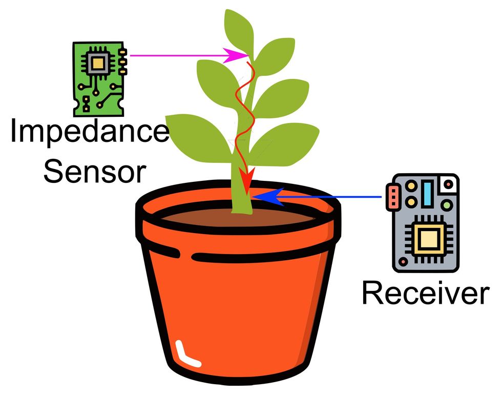 ilustration of a green plant with two computer chips on either side with arrows pointing to pot and plant