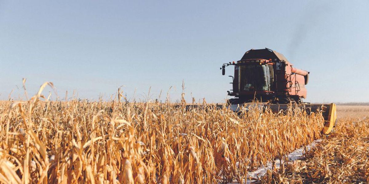 An Army of Grain-Harvesting Robots Marches Across Russia