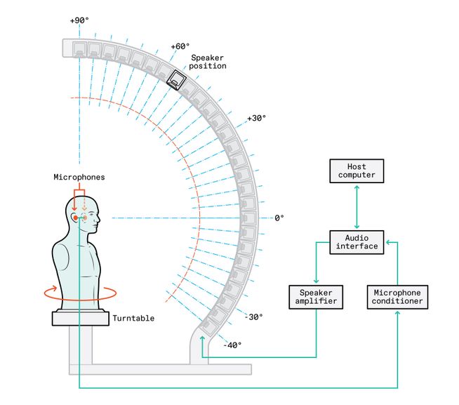 Image of a human body dummy with labels showing the process of audio.