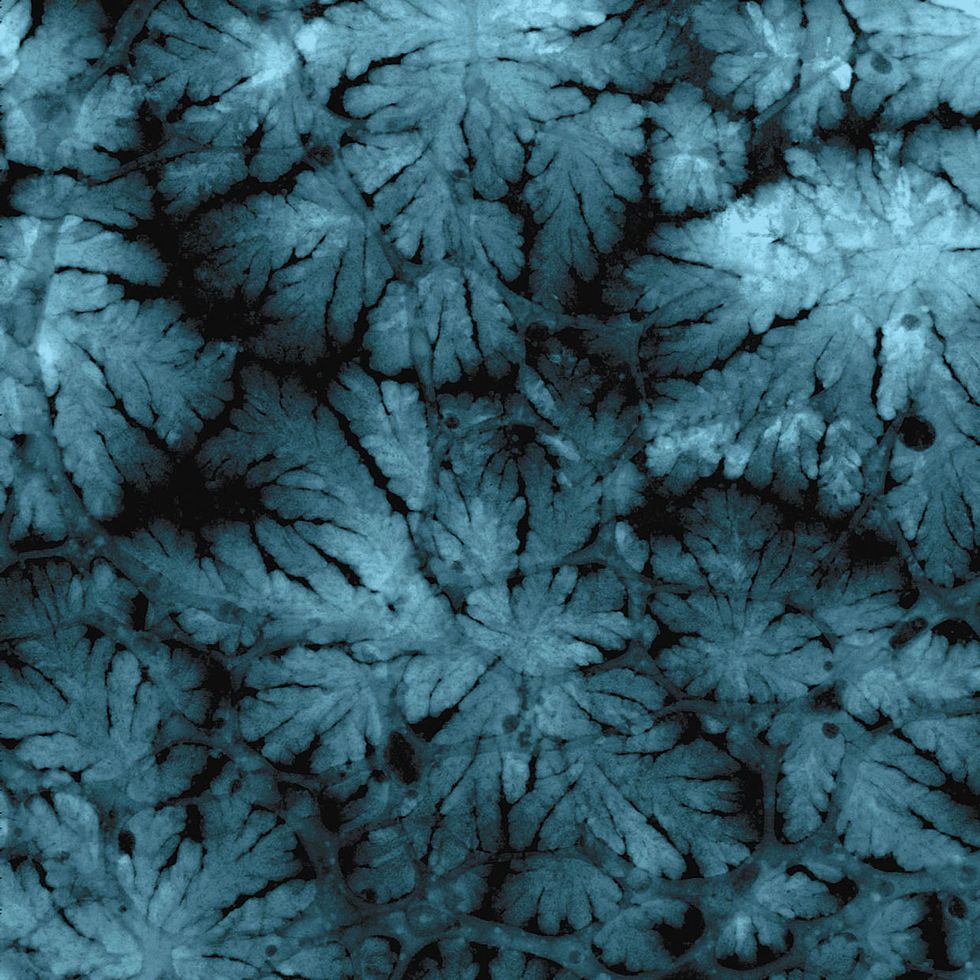 Image showing dendrites growing out of the anode of a lithium-ion cell
