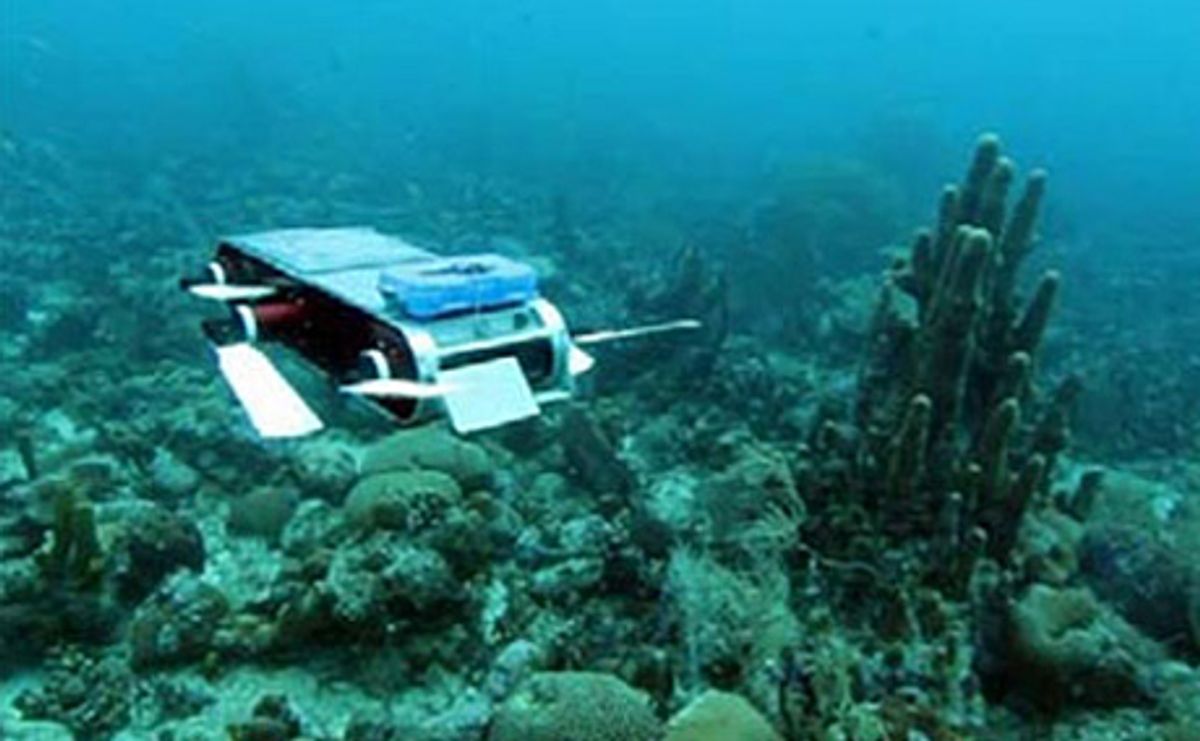 Robotic Airplane, Boat, and Submarine Team Up to Monitor Coral Reefs