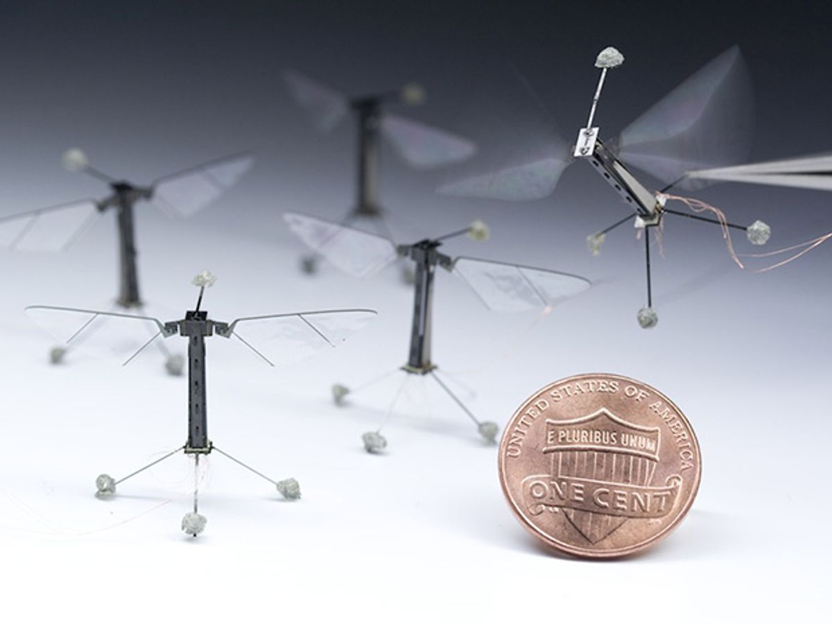 Микро жизни. Летающие роботы 2021 года разработки. Робот пчела ROBOBEE. Картинки дронов убийц. Первые летающие роботы фото.