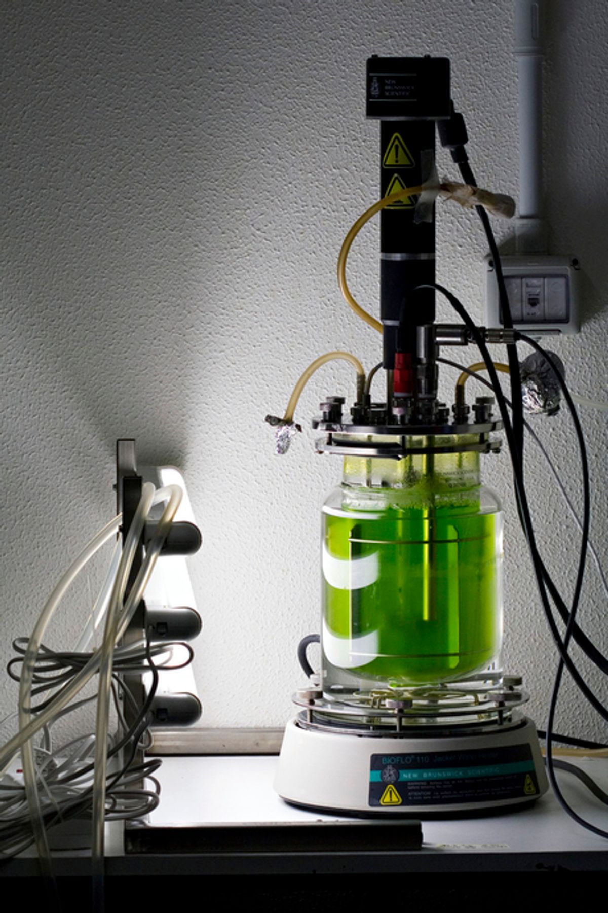 Bioengineering Algae for Fuels