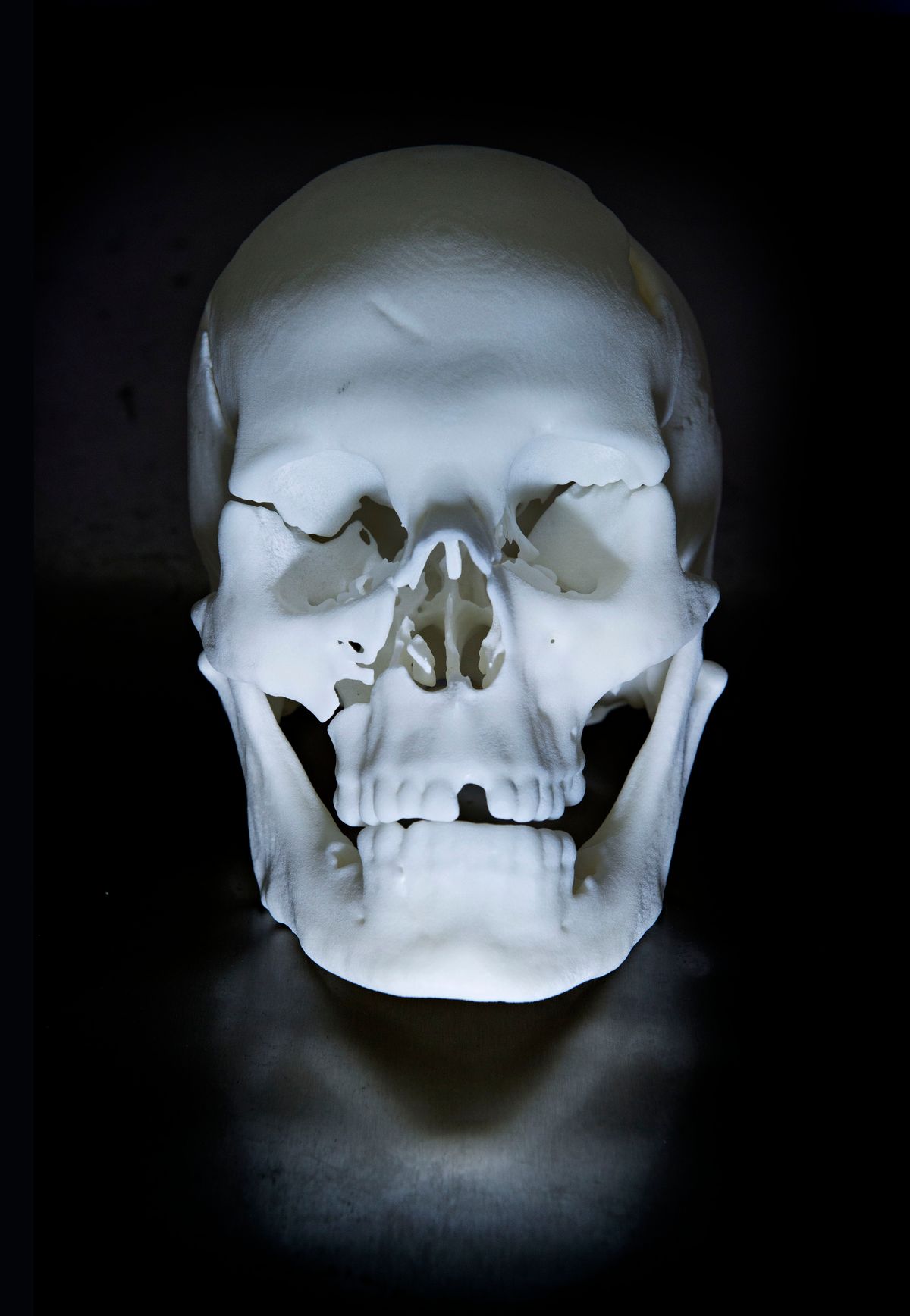 3D Printing the Skull of King Richard III