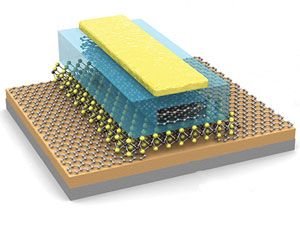 Graphene and Molybdenite Join Forces for a New Flash Memory