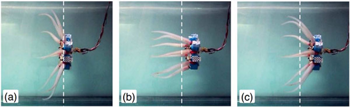 Robot Octopus Shows Off New Sculls