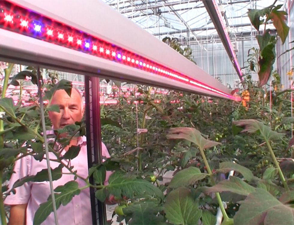 Hacking Tomatoes at the World’s Greenest Greenhouse