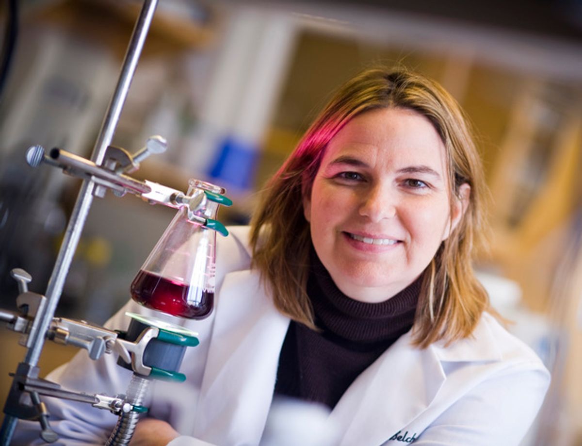 Angela Belcher: The Consummate Nanotechnologist