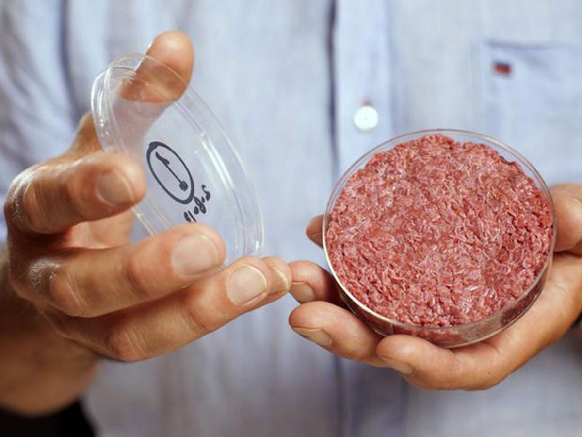 World's First Lab-Grown Burger Unveiled and Eaten in London