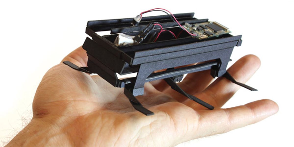 Dash Robotics Developing Indestructible Biomimetic Roachbots for Everyone