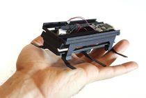 Dash Robotics Developing Indestructible Biomimetic Roachbots for Everyone