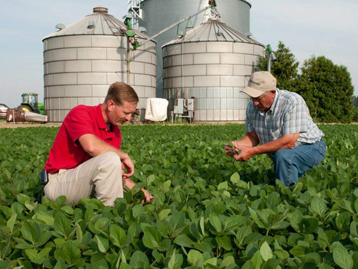 Monsanto Brings Big Data to the Farm