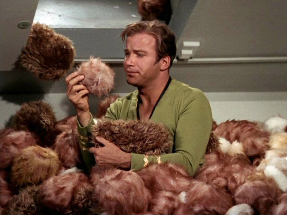 New Report Says Cyberthreats Multiplying Like Tribbles
